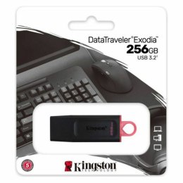 USB stick Kingston DataTraveler DTX Black USB stick - 256 GB