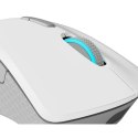 Mouse Lenovo GY51C96033 White