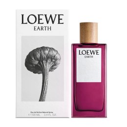 Men's Perfume Loewe