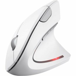 Mouse Trust 25132 White