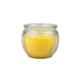 Lifetime - Citronella anti-coma candle in glass (yellow)