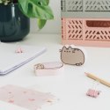 Pusheen - Erasers from the Moments collection