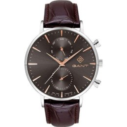Men's Watch Gant G121007 Brown