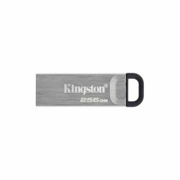 USB stick Kingston DTKN/256GB Black 256 GB