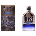 Men's Perfume Just Cavalli Roberto Cavalli EDT - 90 ml