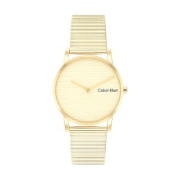 Men's Watch Calvin Klein 25100035