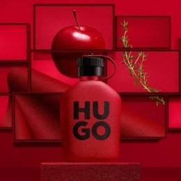 Men's Perfume Hugo Boss Intense EDP