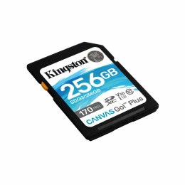 SD Memory Card Kingston SDG3/256GB 256GB 256 GB