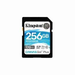 SD Memory Card Kingston SDG3/256GB 256GB 256 GB