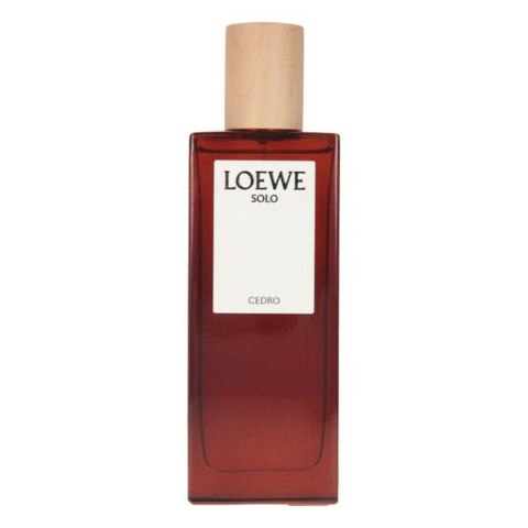 Men's Perfume Loewe EDT - 100 ml