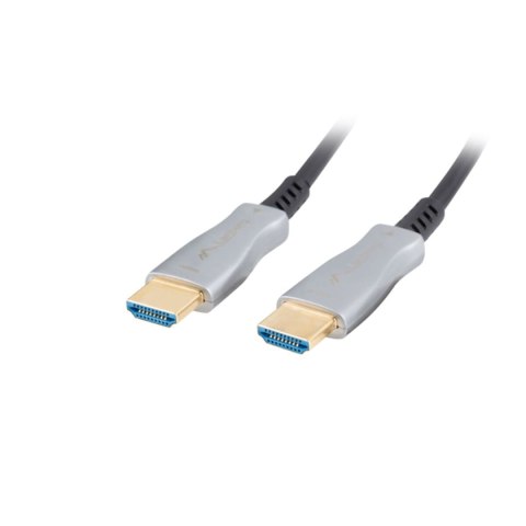 HDMI Cable Lanberg CA-HDMI-20FB-0100-BK Black 10 m