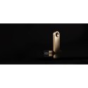 USB stick Kingston DTSE9G3/512GB Golden 512 GB (1 Unit)