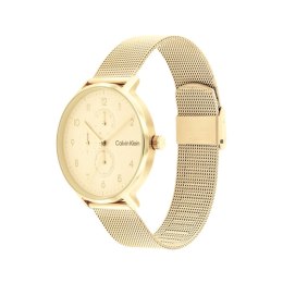 Men's Watch Calvin Klein 25200403 Golden