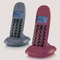 Wireless Phone Motorola C1002 LCD DECT