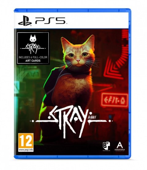 Gra PlayStation 5 Stray