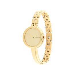 Men's Watch Calvin Klein 25200279 Golden