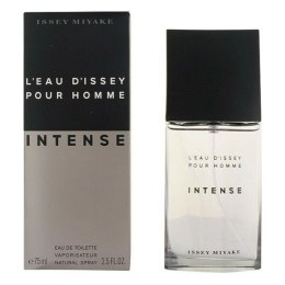 Men's Perfume Issey Miyake EDT - 125 ml