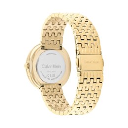 Men's Watch Calvin Klein 25200321