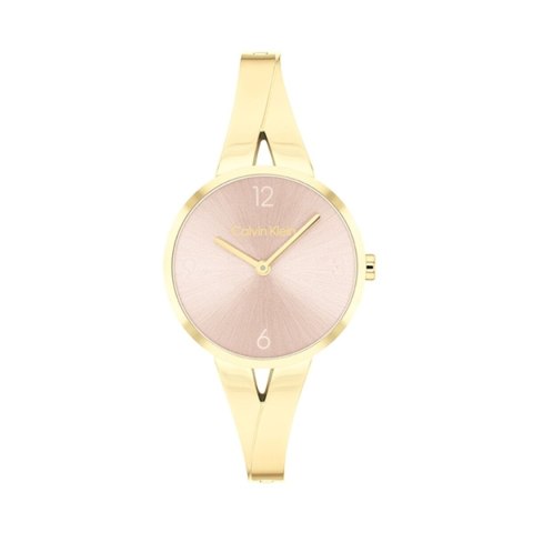 Ladies' Watch Calvin Klein 25100027