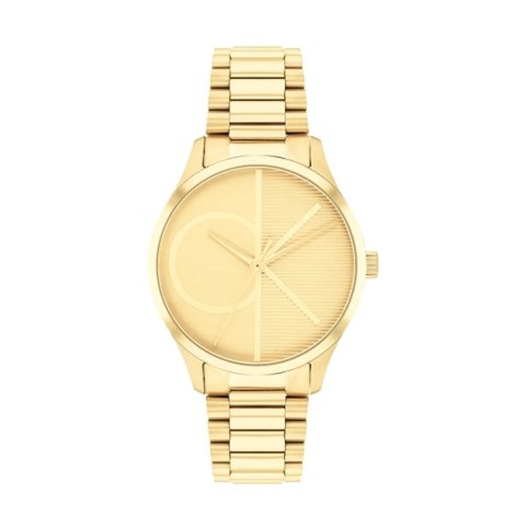 Ladies' Watch Calvin Klein 25200346