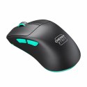 Wireless Mouse Cherry M64