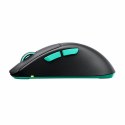 Wireless Mouse Cherry M64