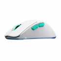 Wireless Mouse Cherry M64