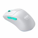 Wireless Mouse Cherry M64