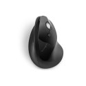 Wireless Mouse Kensington K75501EU Black