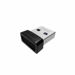 USB stick Lexar LJDS47-256ABBK Black Silver 256 GB