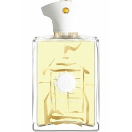 Men's Perfume Amouage Beach Hut Man EDP 100 ml