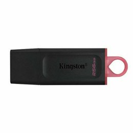 USB stick Kingston DTX/256GB Black 256 GB